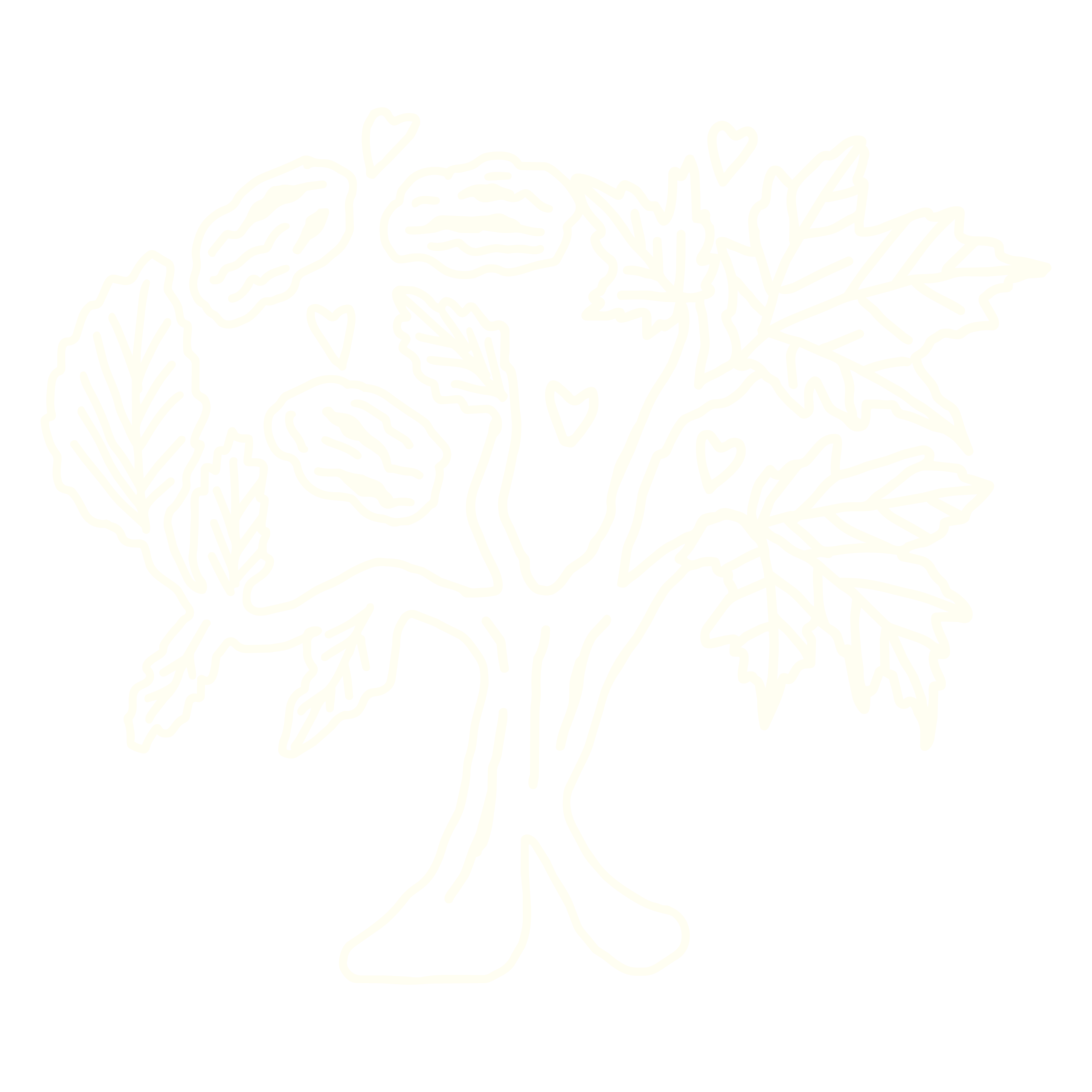 Noix-derable-03-scaled.png