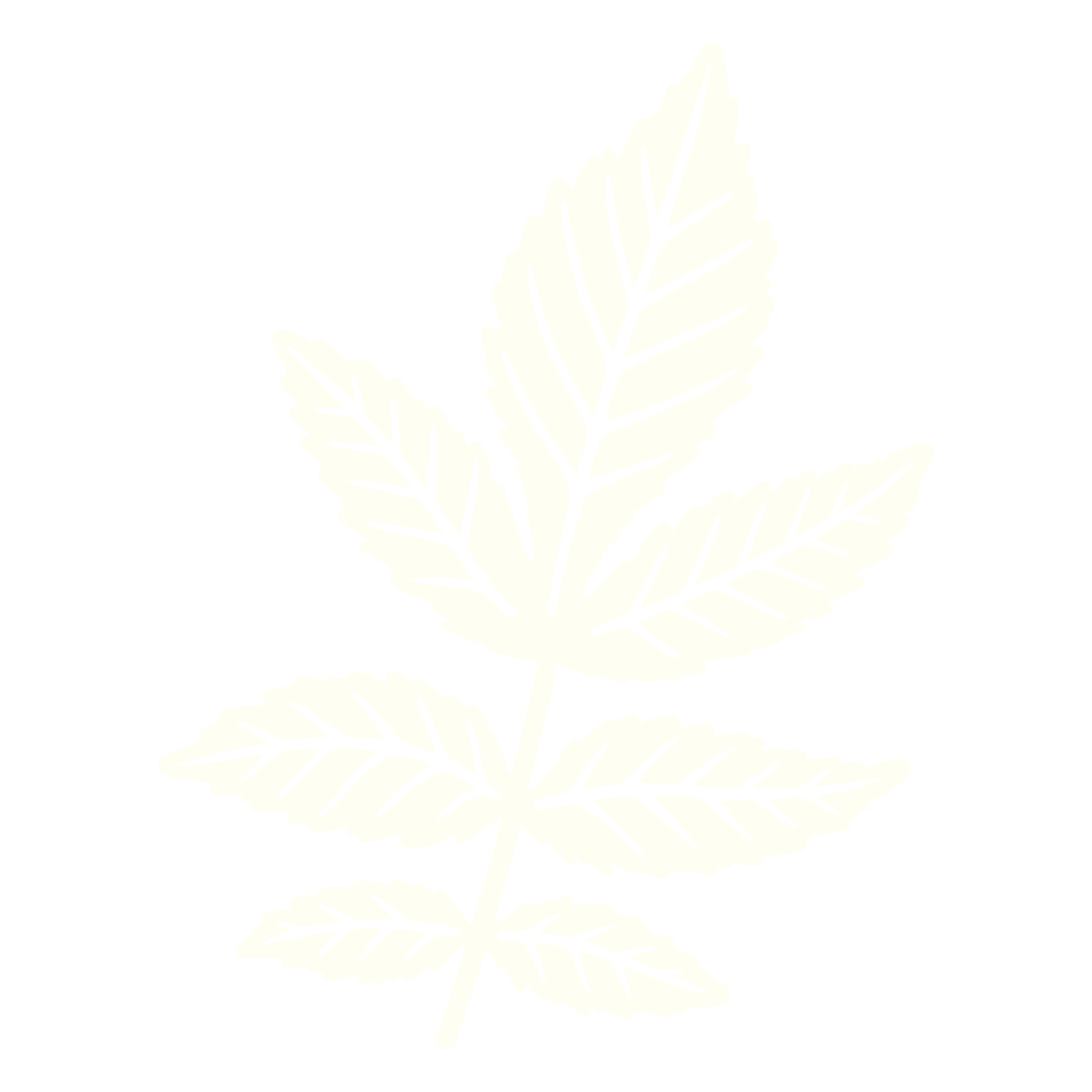 Noix-derable-17-scaled.png