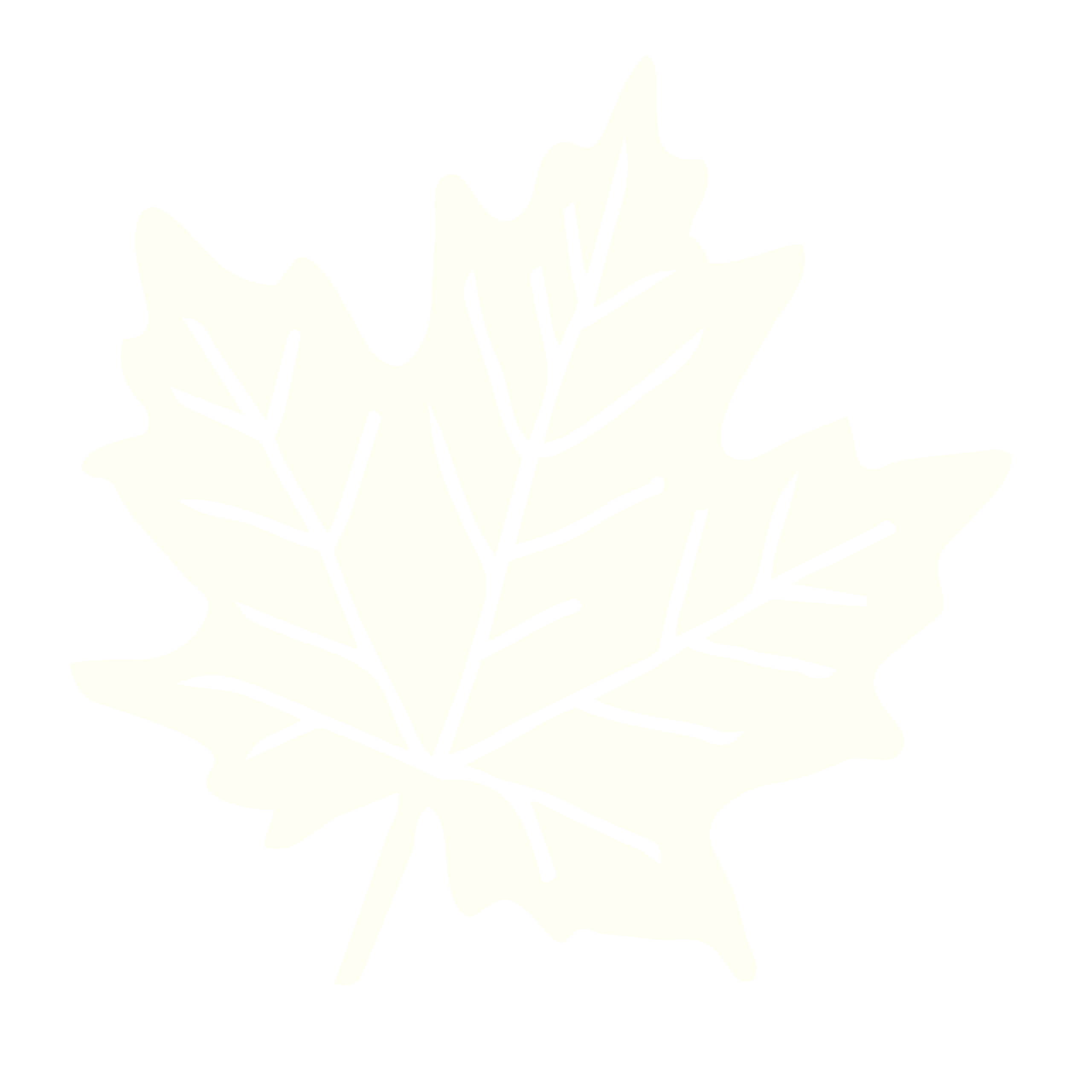 Noix-derable-18-scaled.png
