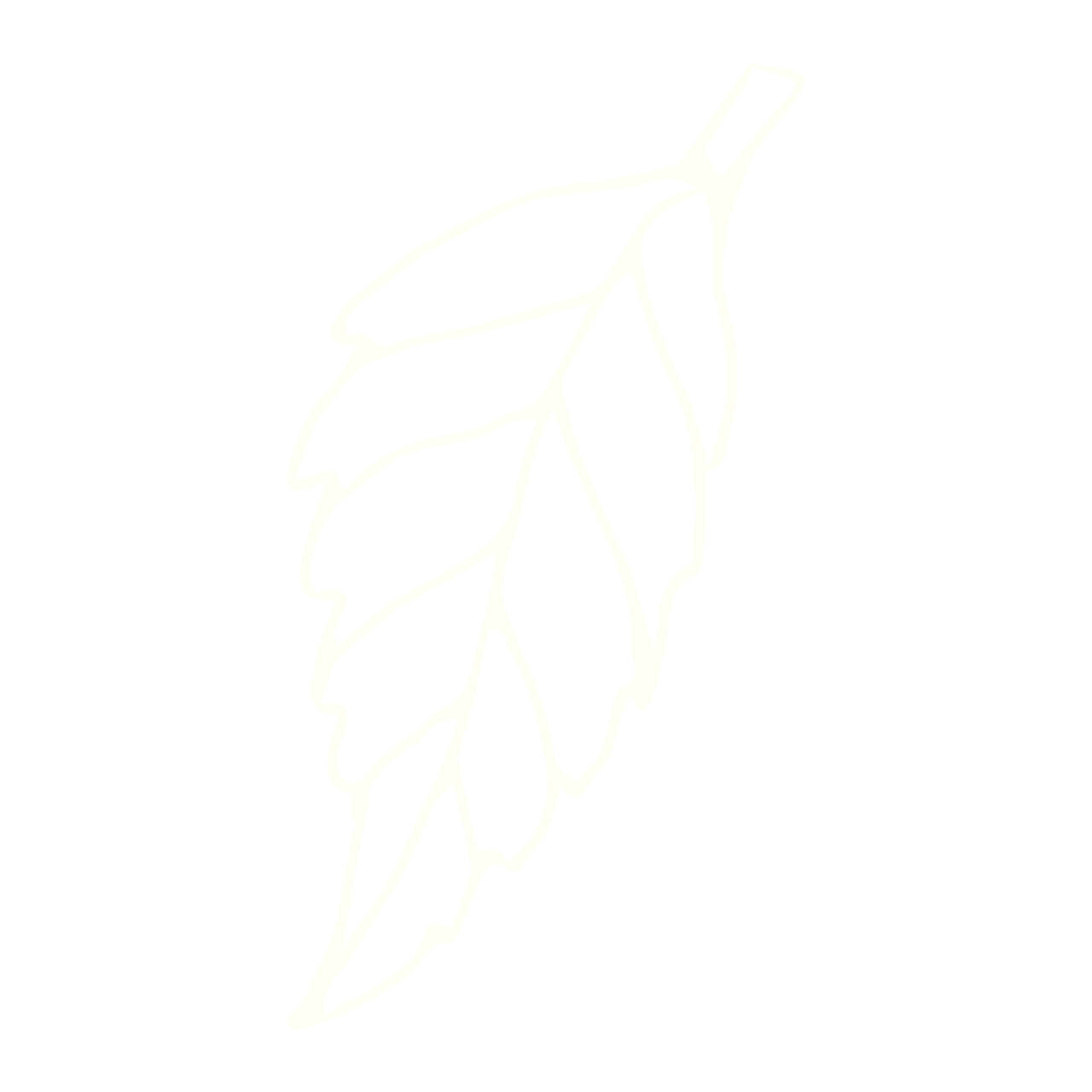 Noix-derable-19-scaled.png